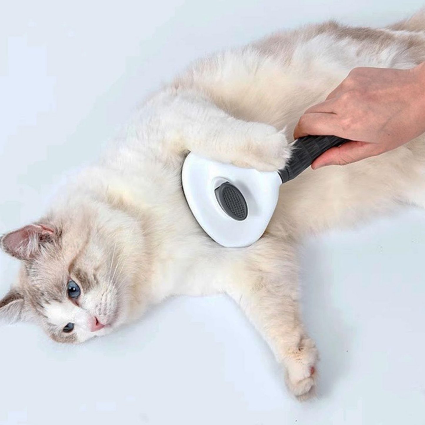 Spazzola Autopulente per Cani e Gatti – Rimuove Peli Morti in Secondi, Sicura sulla Pelle, Ideale per Pelo Longo e Corto