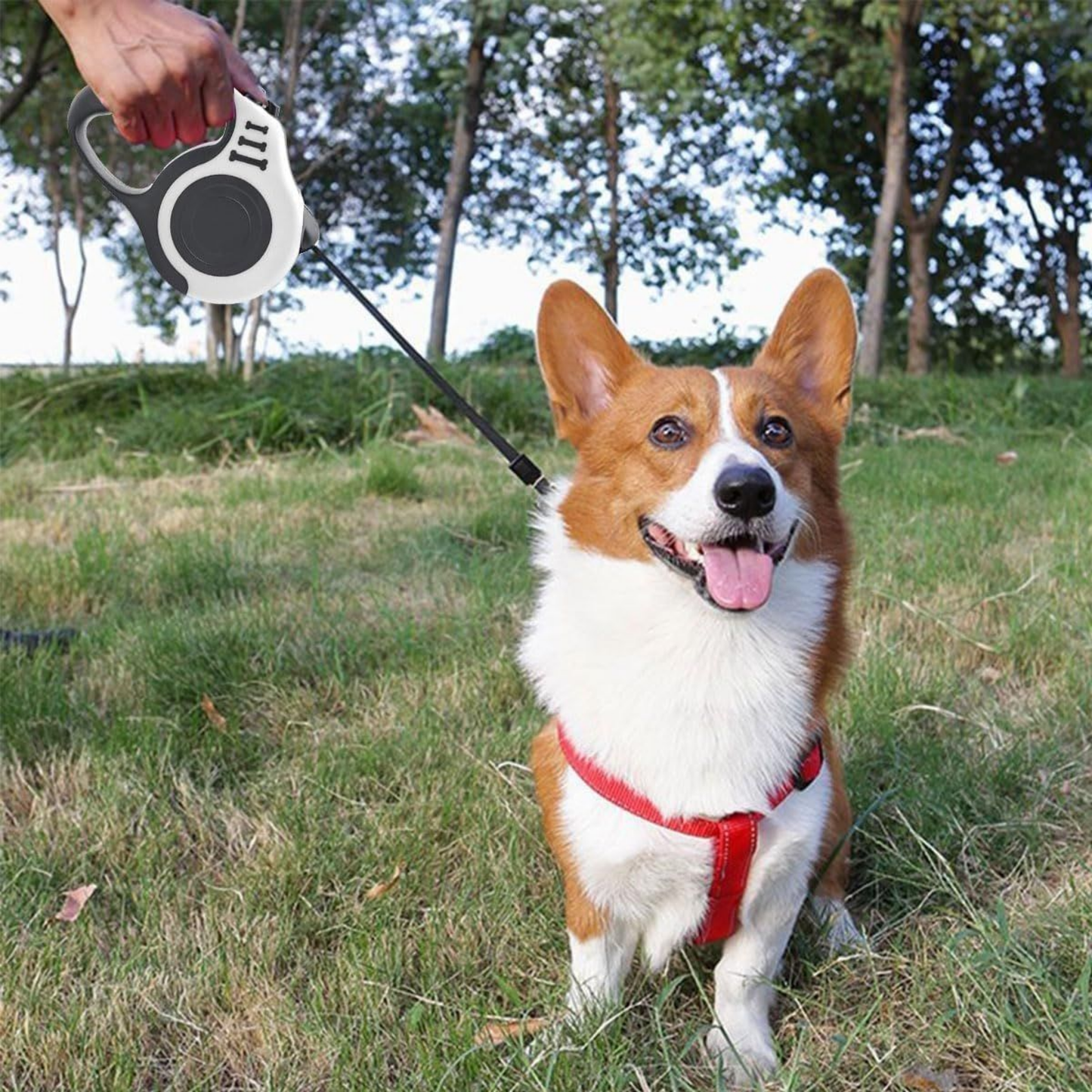 Guinzaglio retrattile per cani, guinzaglio estensibile, anti-sparo, guinzaglio automatico.